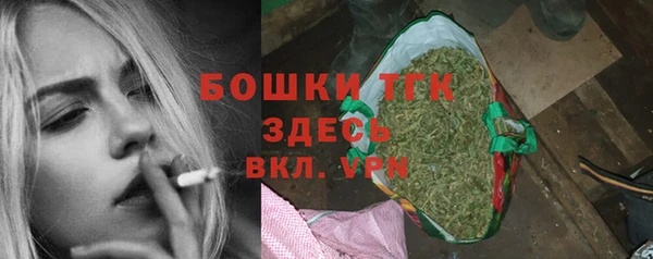 мдпв Гусев