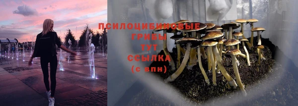 мдпв Гусев