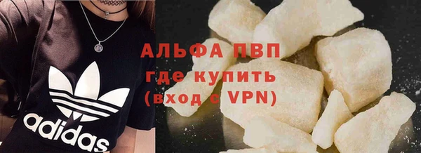 мдпв Гусев
