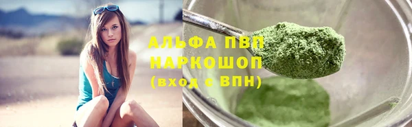 мдпв Гусев