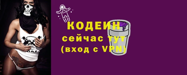 мдпв Гусев