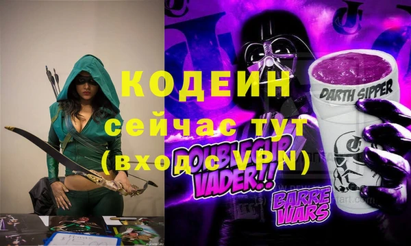 мдпв Гусев
