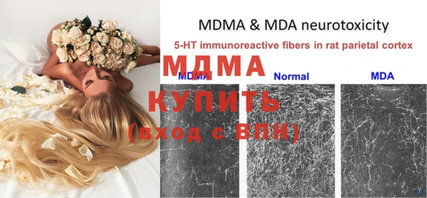 мдпв Гусев
