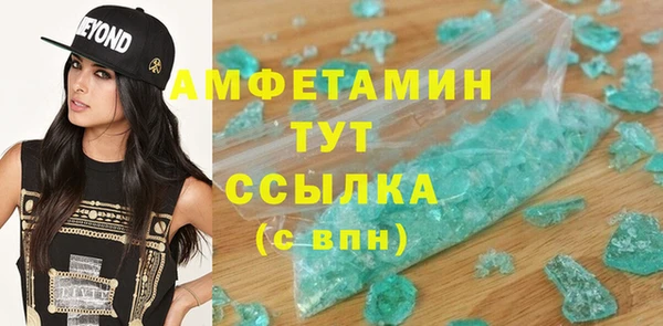 мдпв Гусев