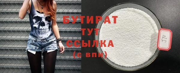 мдпв Гусев