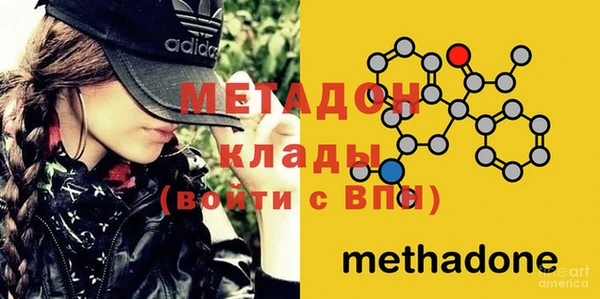 мдпв Гусев