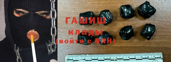 мдпв Гусев