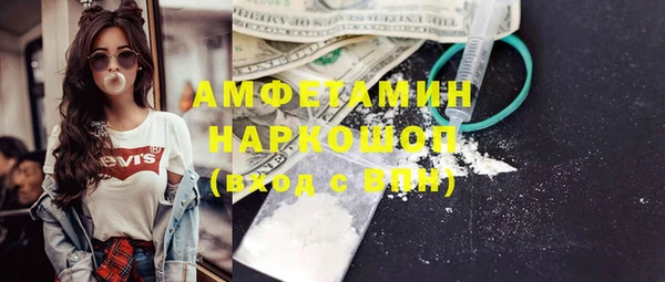 мдпв Гусев