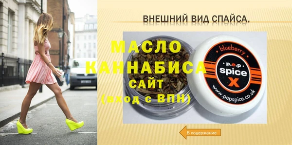 мдпв Гусев