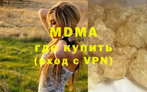 мдпв Гусев