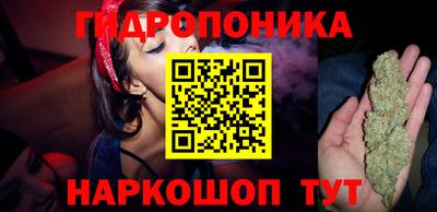 a pvp Кулебаки