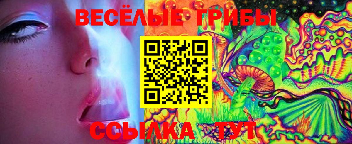 Галлюциногенные грибы мицелий  Псилоцибиновые грибы Psilocybe  Вход с VPN  Десногорск 