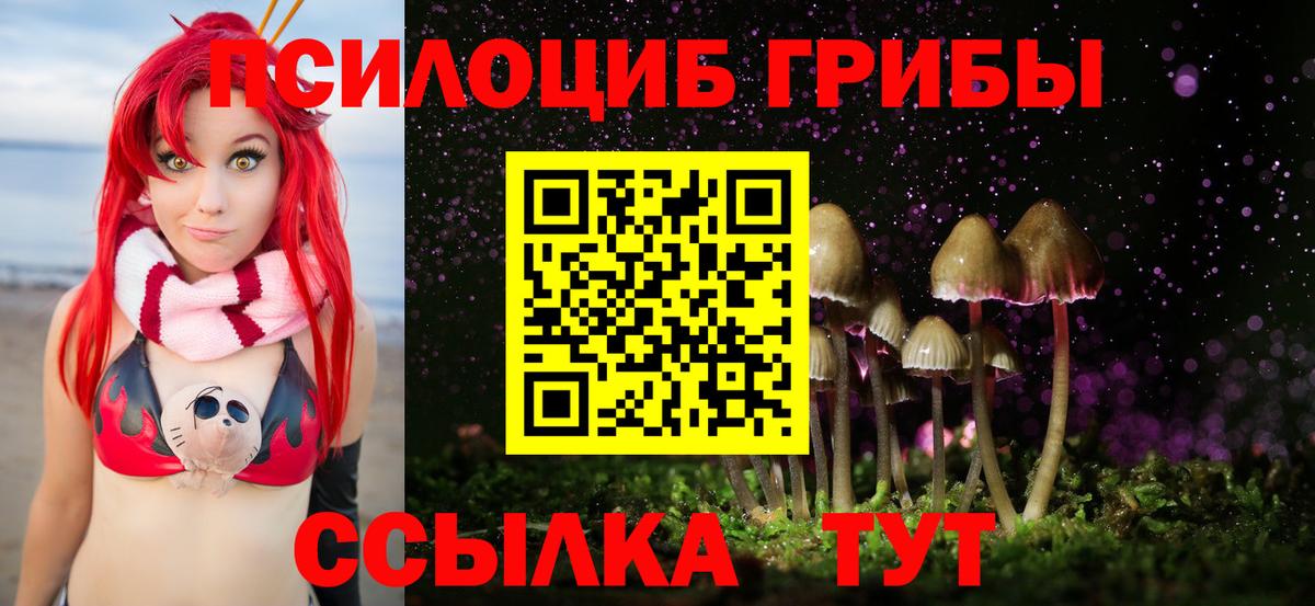 Псилоцибиновые грибы Psilocybine cubensis Десногорск